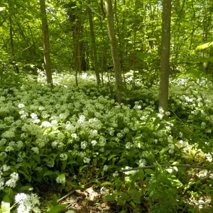 DSCN5127.JPG