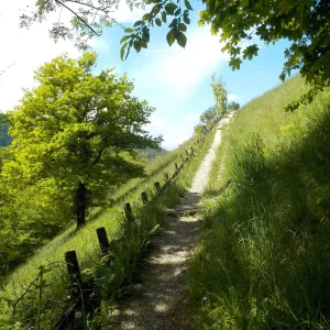 DSCN5132.JPG