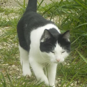 DSCN5154.jpg