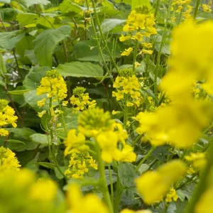 DSCN5147.JPG