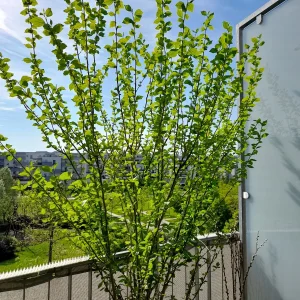 20220511_164040.jpg
