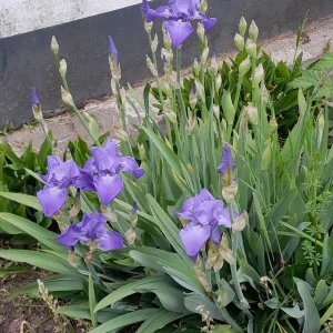 20220513_090818.jpg
