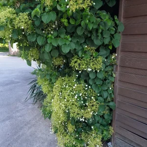 20220515_093748.jpg