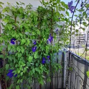 20220519_110454.jpg