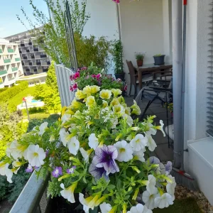 20220519_105940.jpg