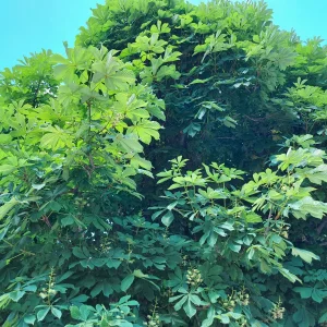 20220522_151836.jpg