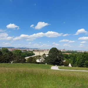 20220522_144910.jpg
