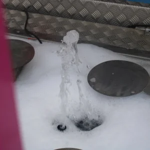 20220526152404_IMG_2767.JPG
