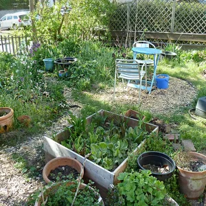 Garten mai 21 2 Kopie-1.jpg