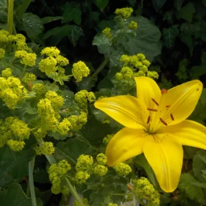 DSCN5208.JPG