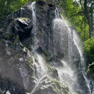 Screenshot_2022-06-05-11-18-56-916_gallery.photomanager.picturegalleryapp.imagegallery.jpg
