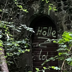 D688F048-8971-465F-BC59-EF0B4AA7C0D6.jpeg