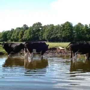 hei_er_Sommer