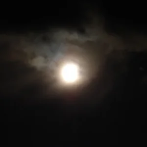 MOND
