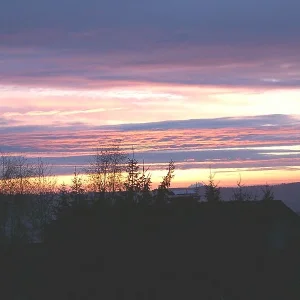 Bild0131