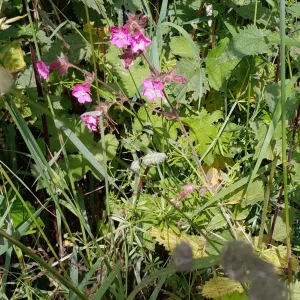20220614_092742.jpg