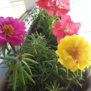 20220615_132838.jpg