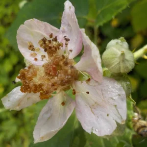 DSCN5283.JPG