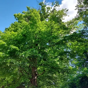 20220522_141706.jpg