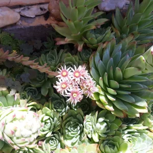 20220628_120434.jpg