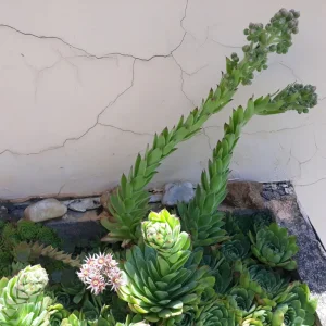 20220628_120451.jpg