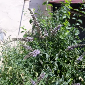 20220628_120516.jpg