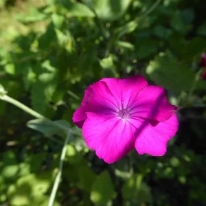 P1050742.jpg