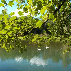DSCN5312.JPG