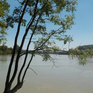 DSCN5324.JPG