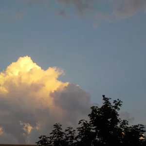 DSCN5353.JPG
