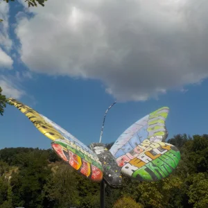 DSCN5372.JPG