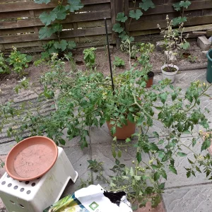 20220807_155117.jpg