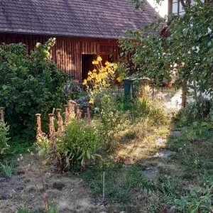 Screenshot 2022-08-08 202140.png