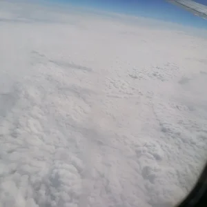 IMG_20220808_165701.jpg