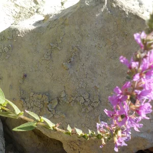 DSCN5399.JPG