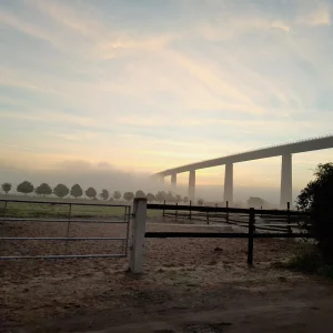 20220912_070019.jpg