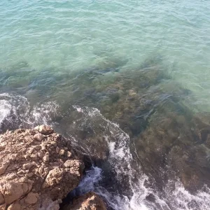 IMG_20220823_152136.jpg