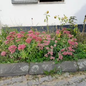 20220924_110232.jpg