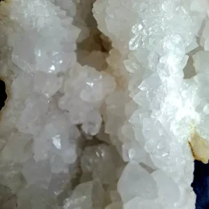 20221001_105723.jpg