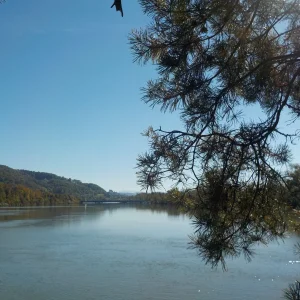 DSCN5442.JPG