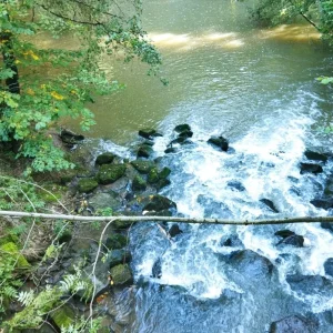 Screenshot_2022-10-05-16-53-47-982_gallery.photomanager.picturegalleryapp.imagegallery.jpg