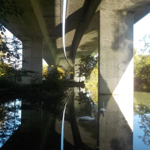 DSCN5456.JPG