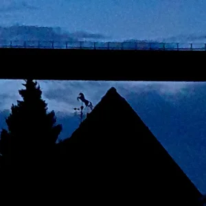 20221016_071920.jpg