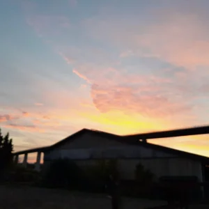 20221017_075029.jpg