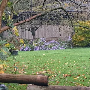 20221018_110335.jpg