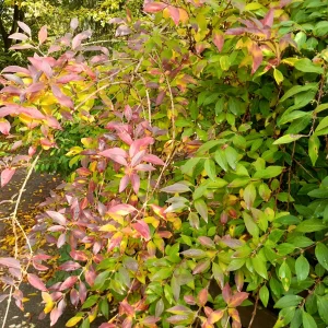 20221018_124833.jpg