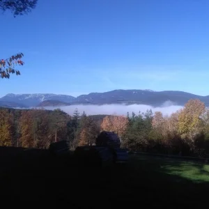IMG_20221028_104213.jpg