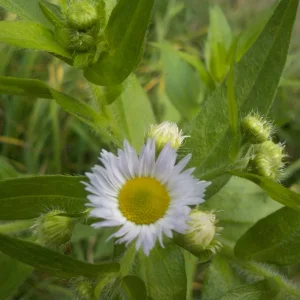 DSCN5478.JPG