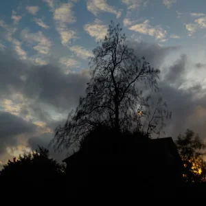 DSCN5505.JPG