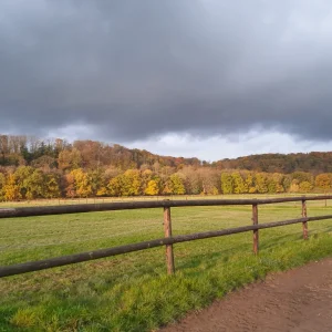20221115_091451.jpg
